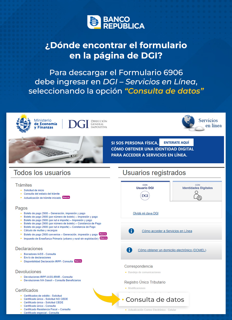 Formulario DGI